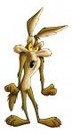 COYOTE